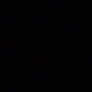 Meet your Posher, Oscar